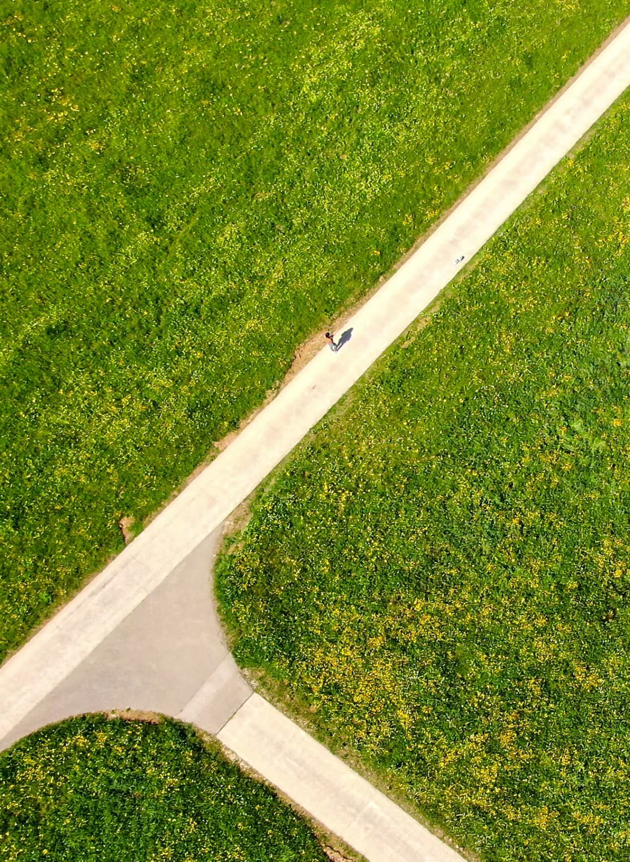 Aerial view of lush fields and crossing paths